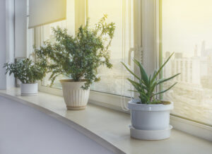 ideas of home decor