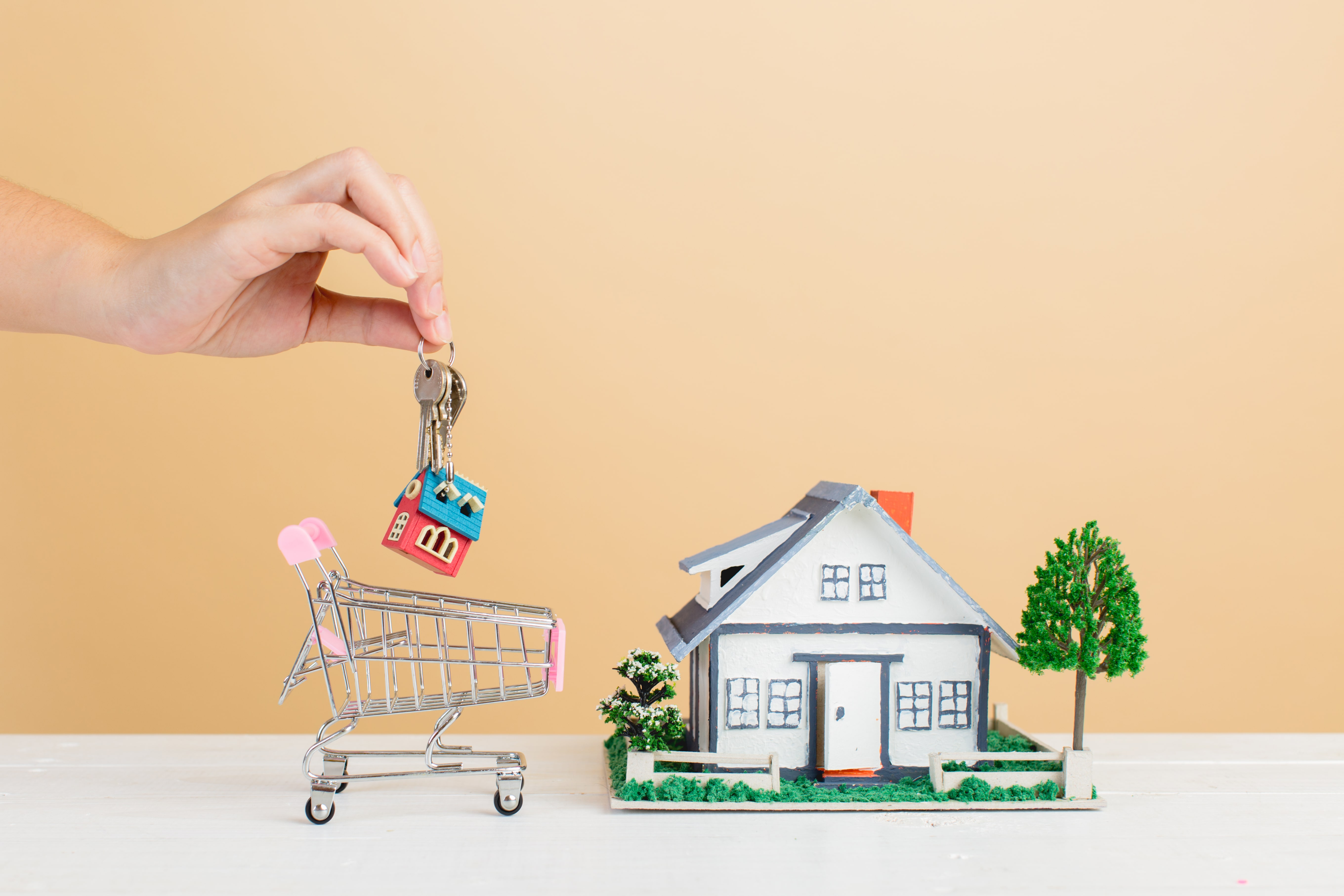 Noida Extension Flats