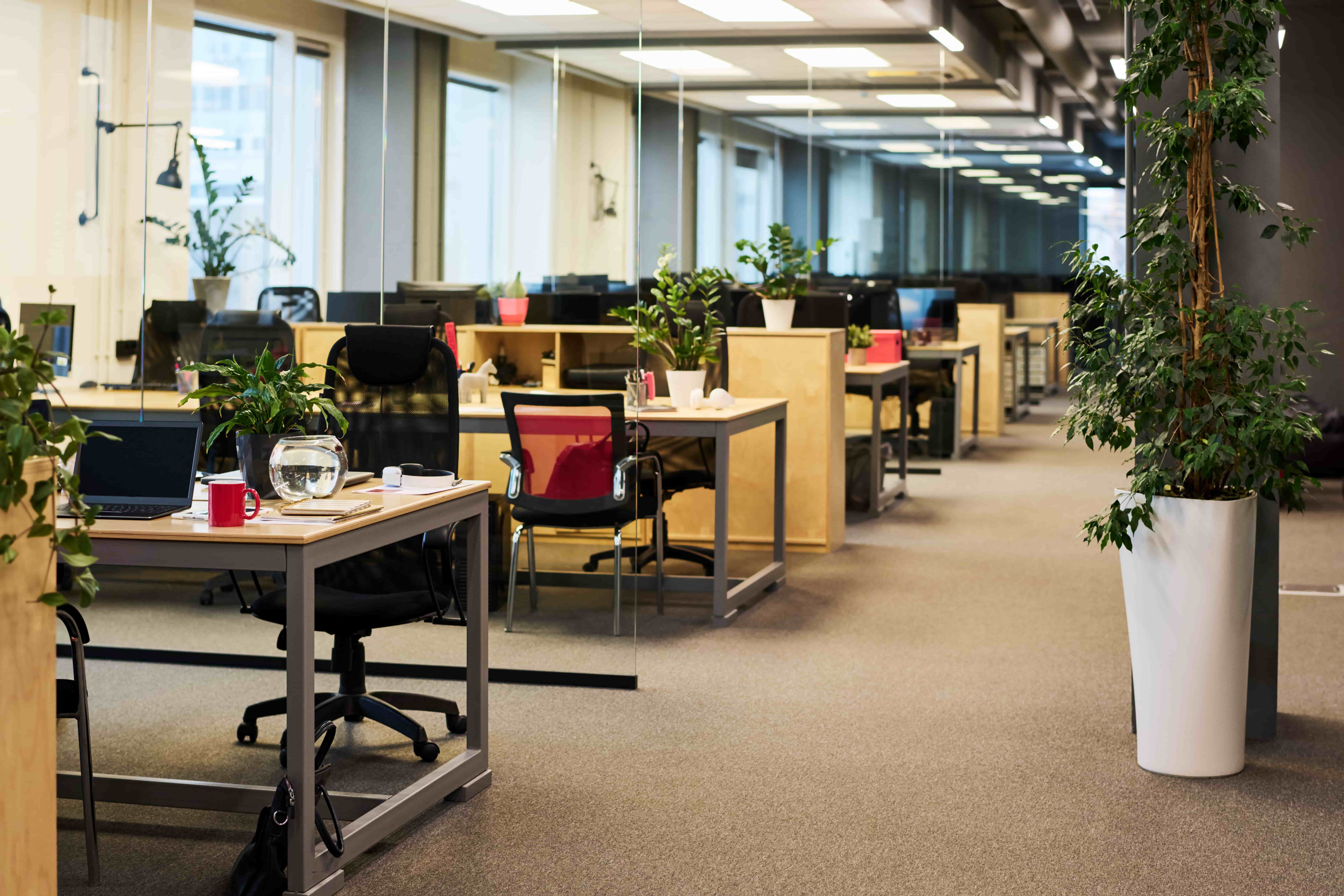 Office Space in Noida for Rent (1)