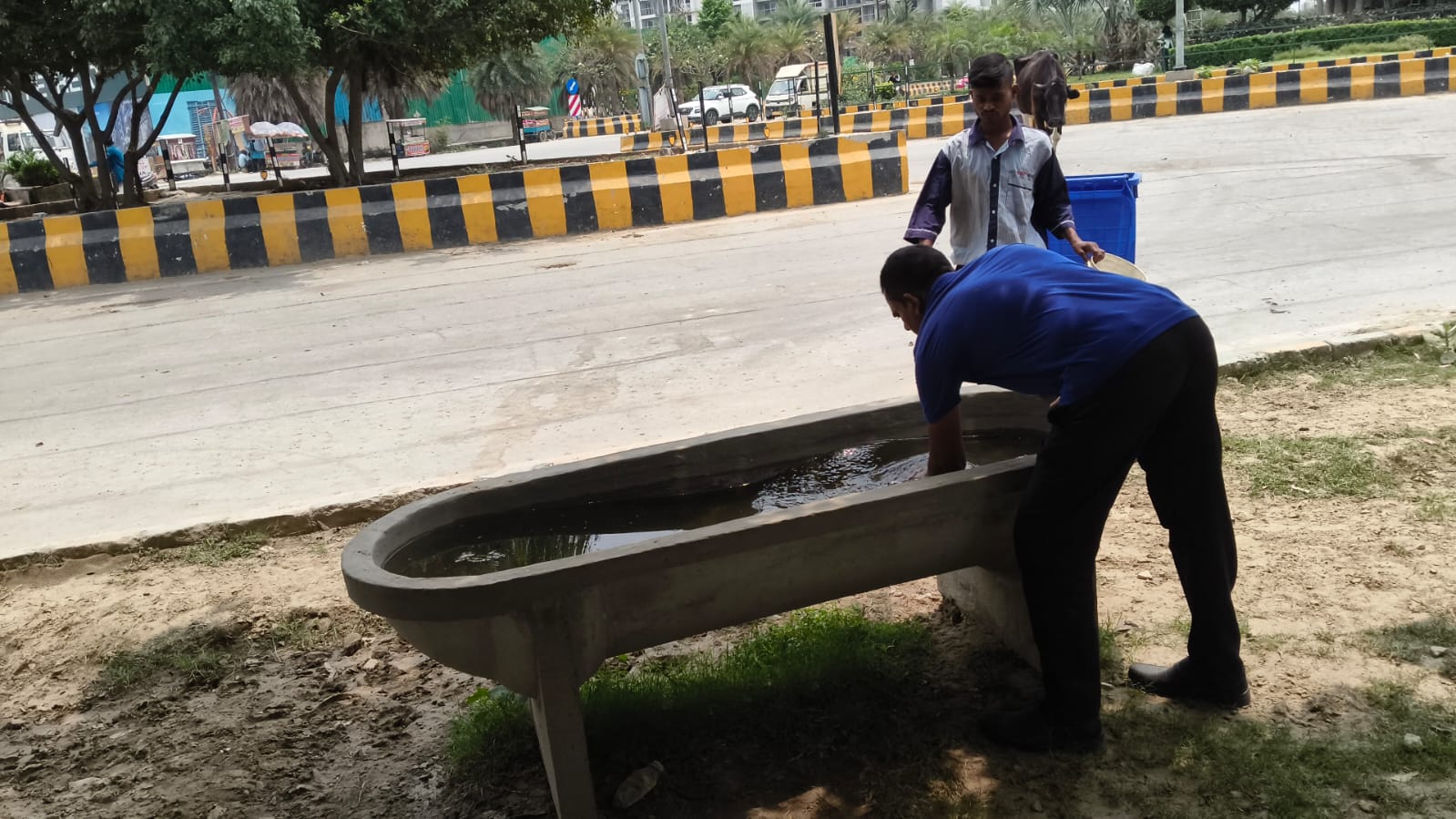 INSTALLING WATER DISPENSERS FOR PUBLIC AND TROUGHS, FOOD CONTAINERS FOR ANIMALS