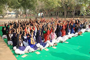 Csr Activities