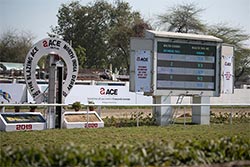 Events and Exhibitions