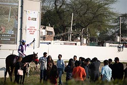 Events and Exhibitions