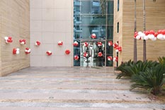 Events and Exhibitions