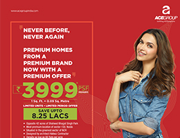 Print Campaign