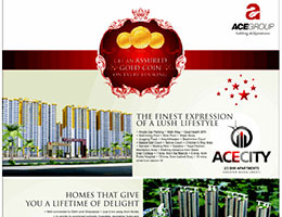 Print Campaign