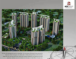 Print Campaign